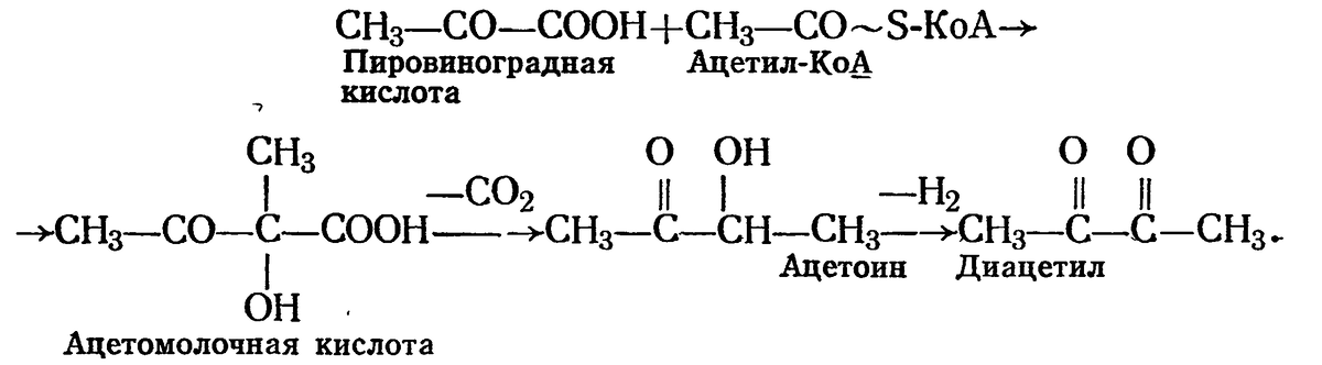 Образование диацетила