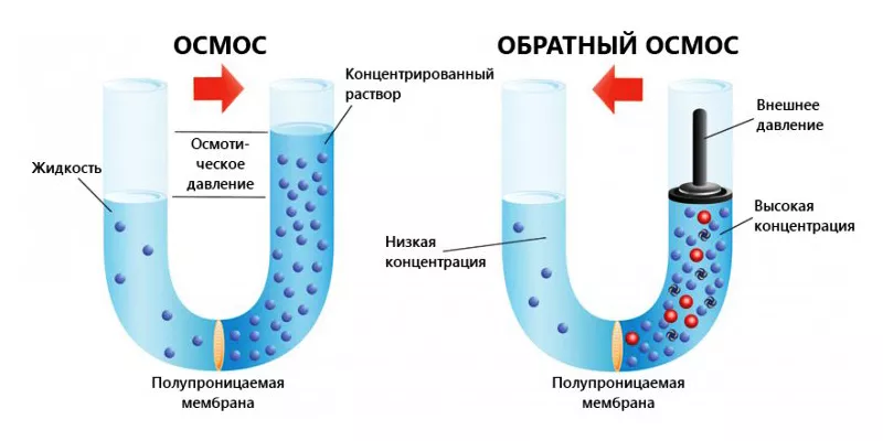 Осмос и обратный осмос.